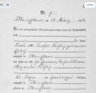 thumbs/1905.03.13_[[176]]_alexander-froehlich_oben.png.jpg